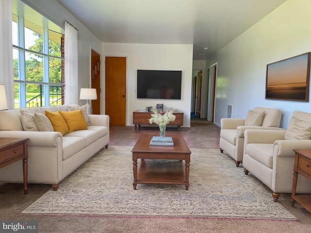 living room with carpet floors