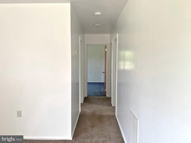 corridor featuring carpet floors