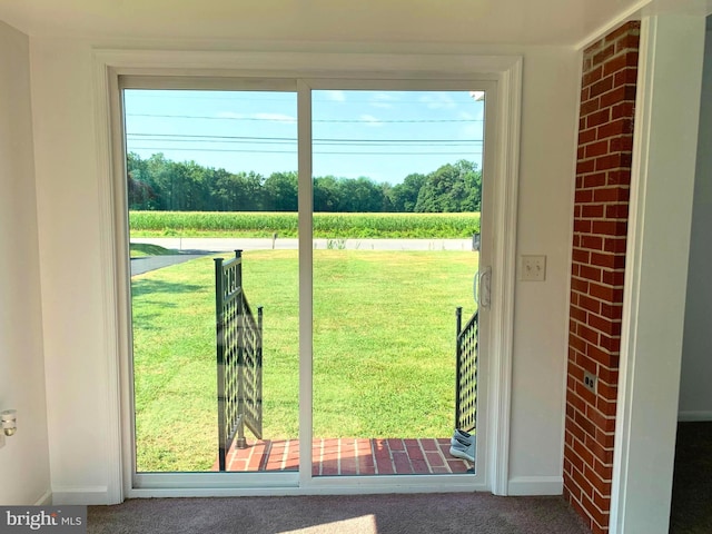 doorway featuring carpet flooring and a wealth of natural light