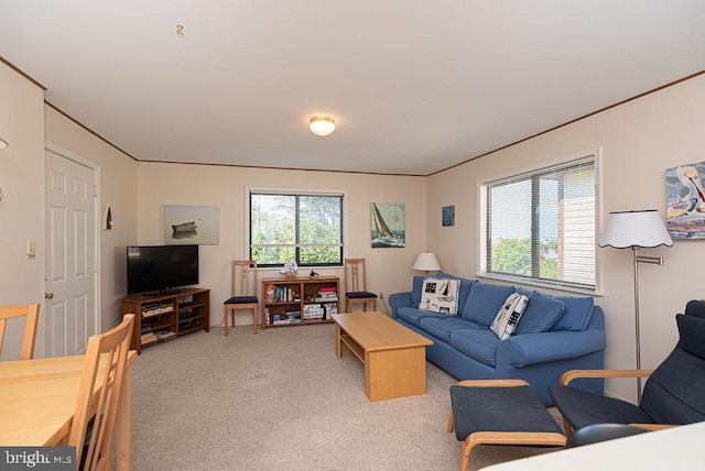 living room with light carpet