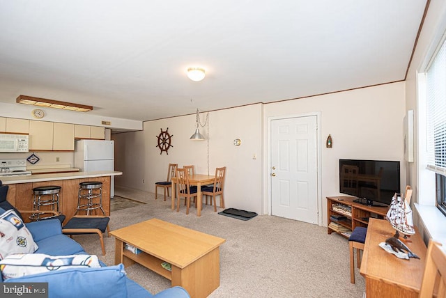 view of carpeted living room