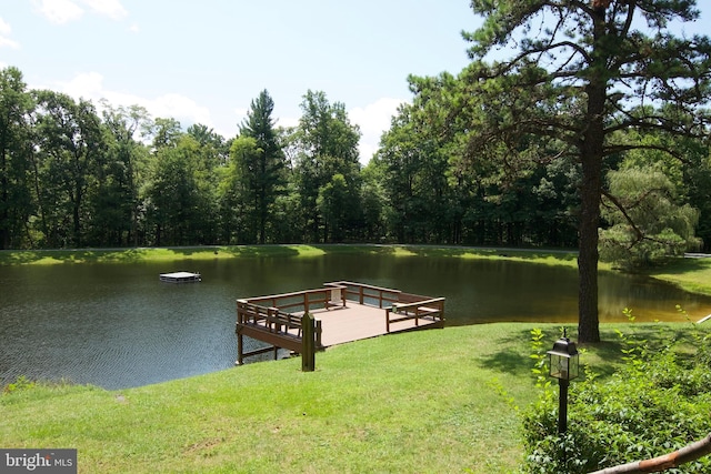 dock area with a water view and a yard