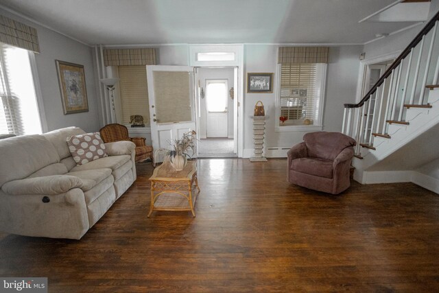 living room with baseboard heating, dark wood-type flooring, and ornamental molding