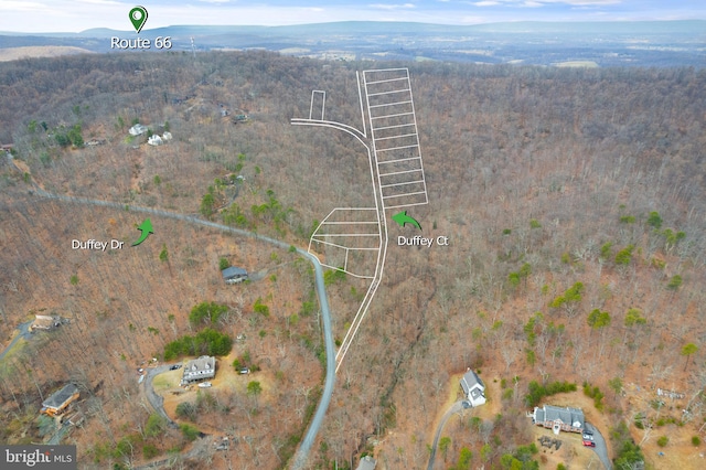 1608 Duffey Dr, Haymarket, VA 20169