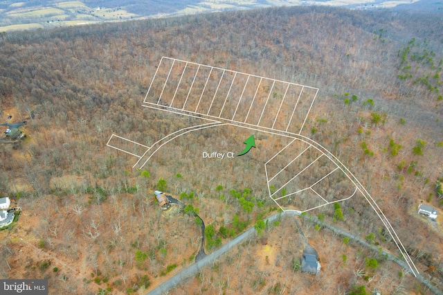1608 Duffey Dr, Haymarket, VA 20169