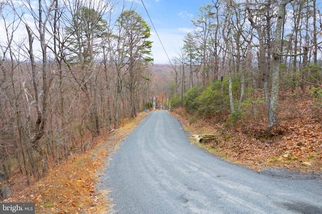 1608 Duffey Dr, Haymarket, VA 20169