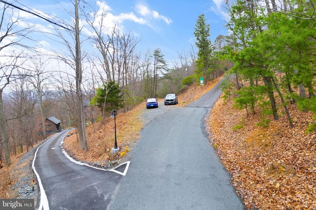 1608 Duffey Dr, Haymarket, VA 20169