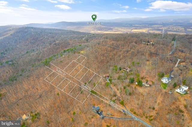 1608 Duffey Dr, Haymarket, VA 20169