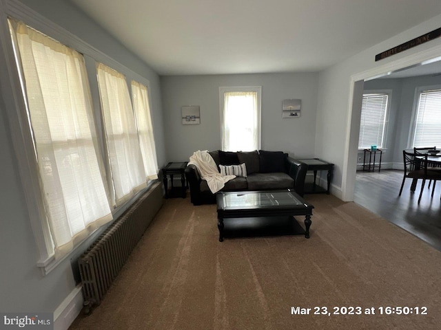 carpeted living room with radiator heating unit