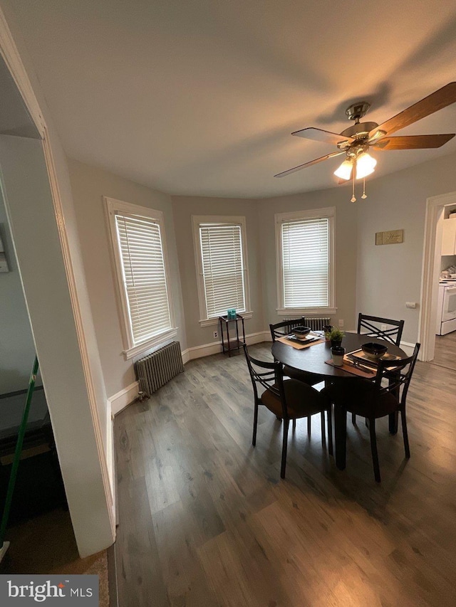 dining space with hardwood / wood-style flooring, ceiling fan, and radiator