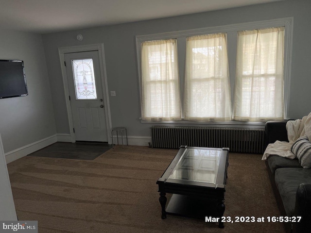 entrance foyer featuring radiator