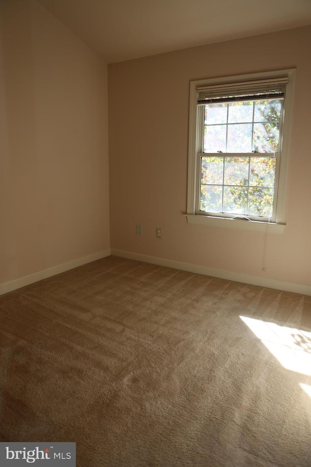 empty room featuring carpet floors