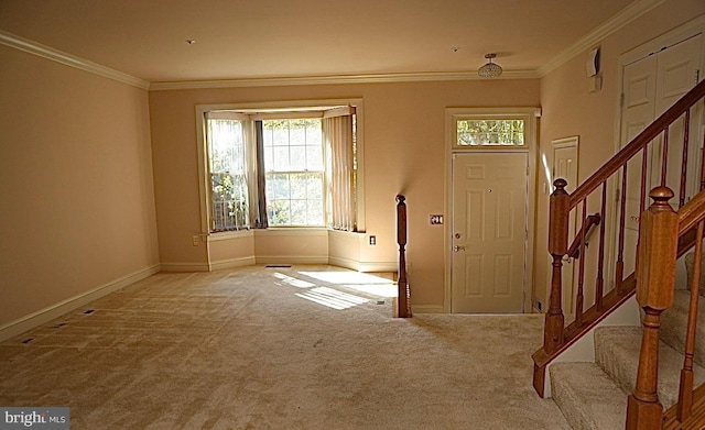 foyer featuring crown molding and light colored carpet