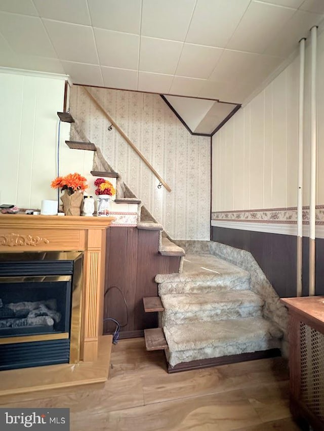 staircase with hardwood / wood-style floors