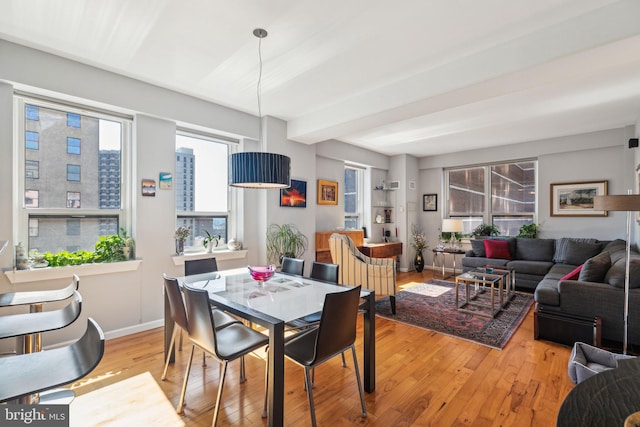 dining space with light hardwood / wood-style flooring