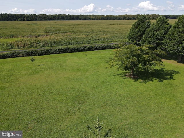 drone / aerial view featuring a rural view