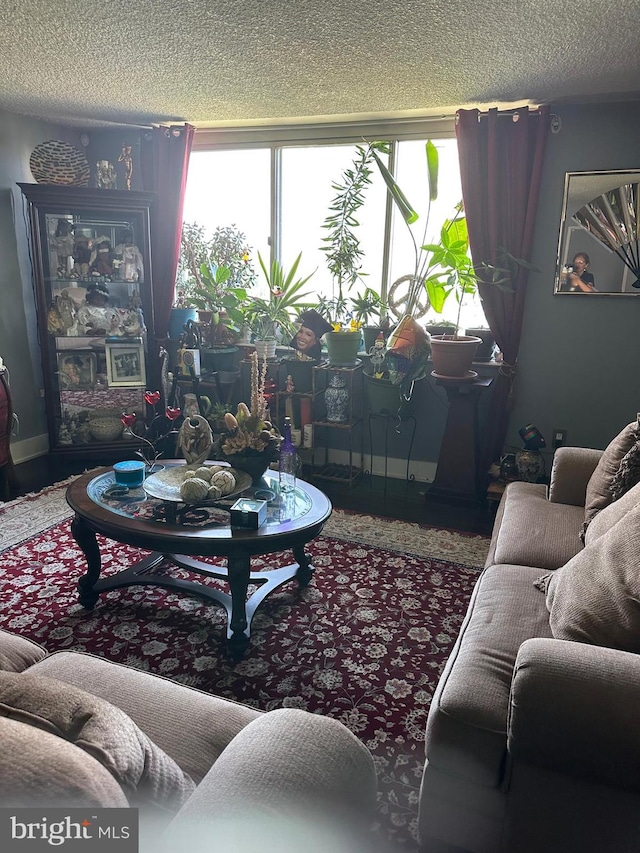 carpeted living room with a textured ceiling