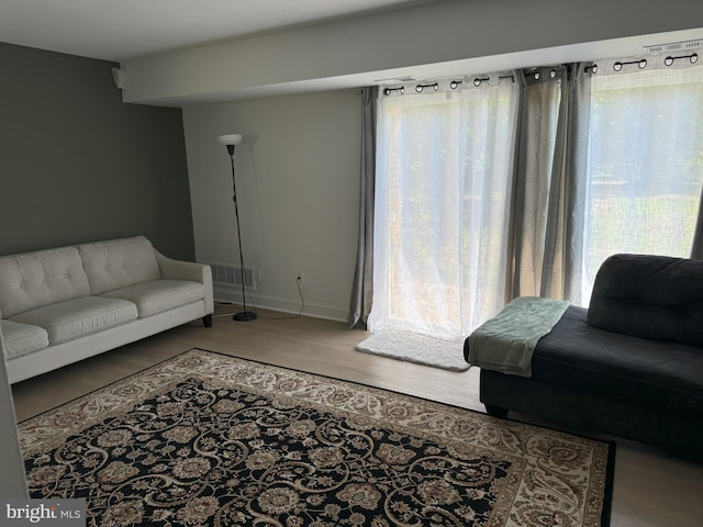 living room with wood-type flooring