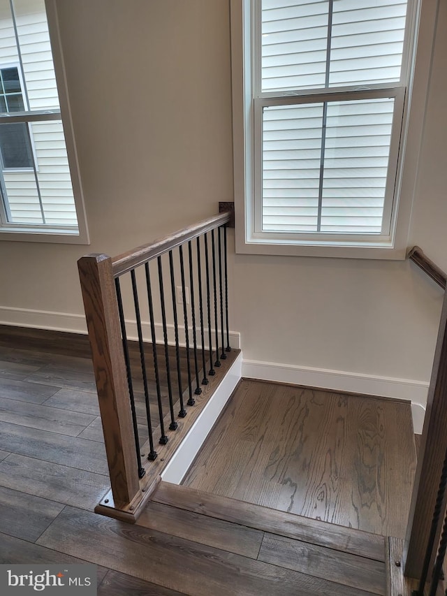 staircase with plenty of natural light and dark hardwood / wood-style flooring