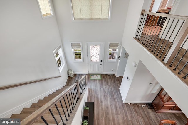 foyer featuring wood-type flooring and a high ceiling