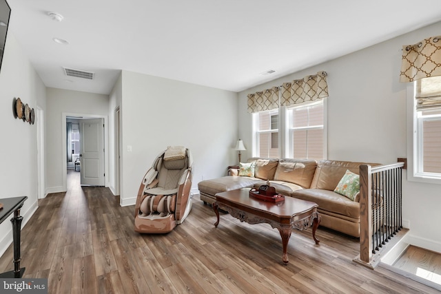 living room featuring hardwood / wood-style floors and plenty of natural light