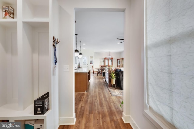 hall featuring wood-type flooring