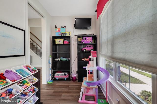 rec room with dark wood-type flooring