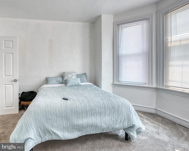 carpeted bedroom with multiple windows