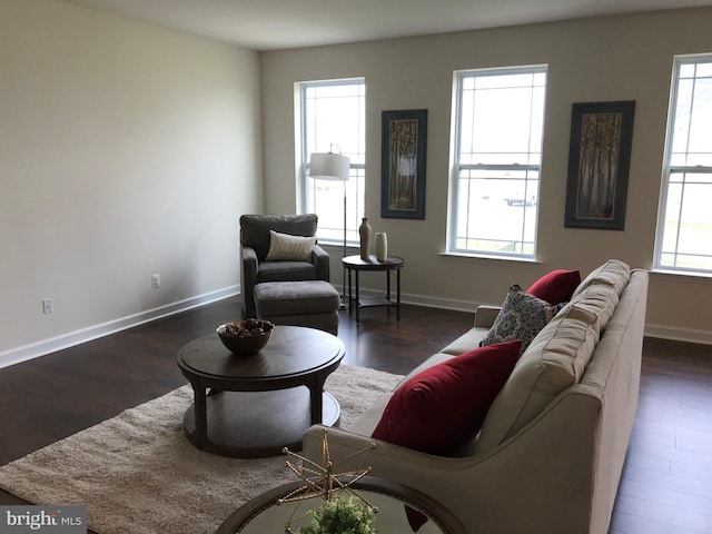 living room with a wealth of natural light and dark hardwood / wood-style floors