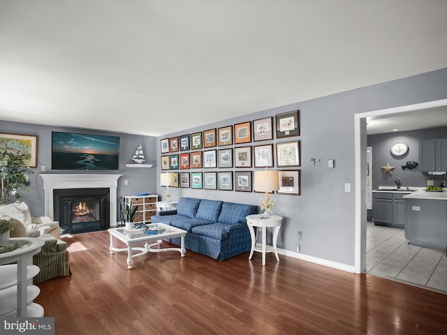 living room with wood-type flooring and sink