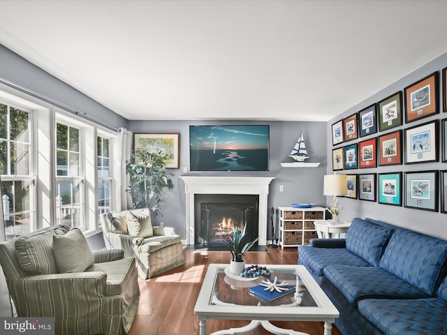 living room featuring wood-type flooring