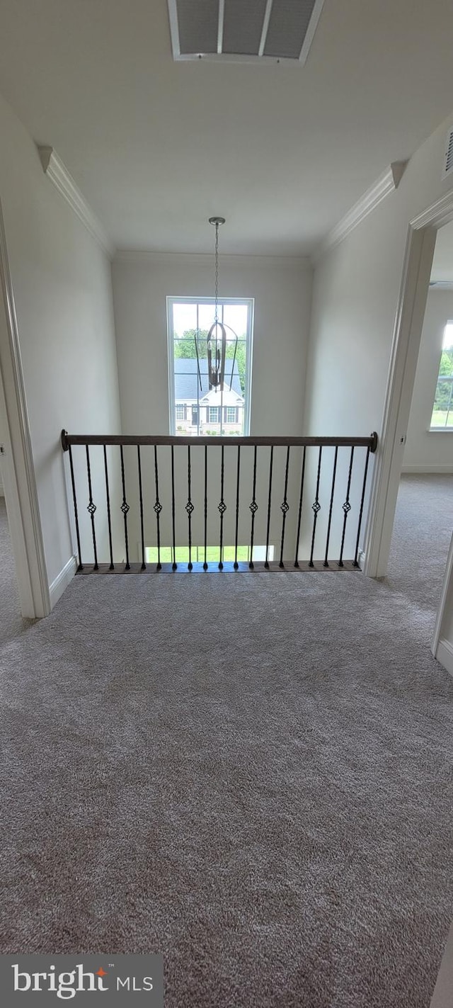 unfurnished room with ornamental molding, a healthy amount of sunlight, and carpet