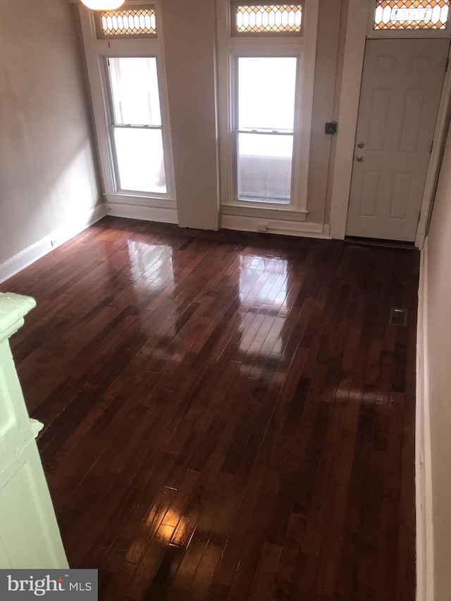 foyer entrance with dark wood-type flooring