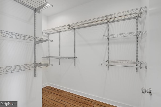 spacious closet featuring hardwood / wood-style flooring