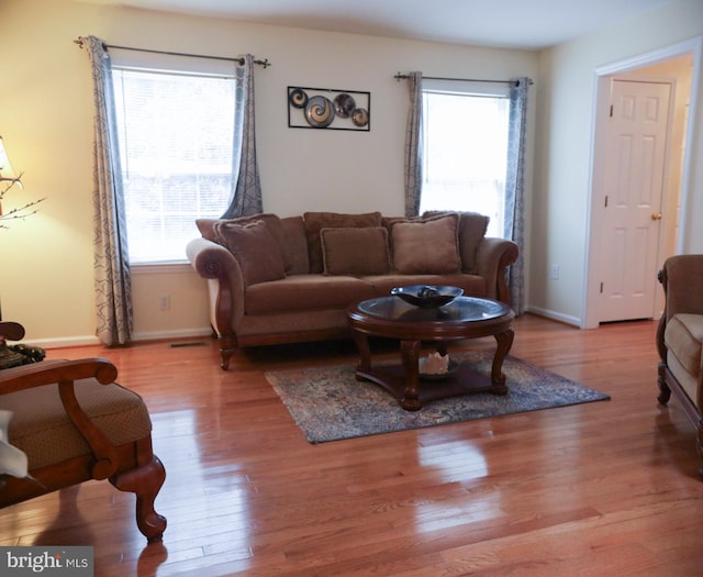 living room featuring light wood-type flooring and a healthy amount of sunlight