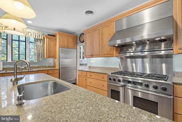 kitchen featuring sink, crown molding, appliances with stainless steel finishes, light stone countertops, and wall chimney exhaust hood