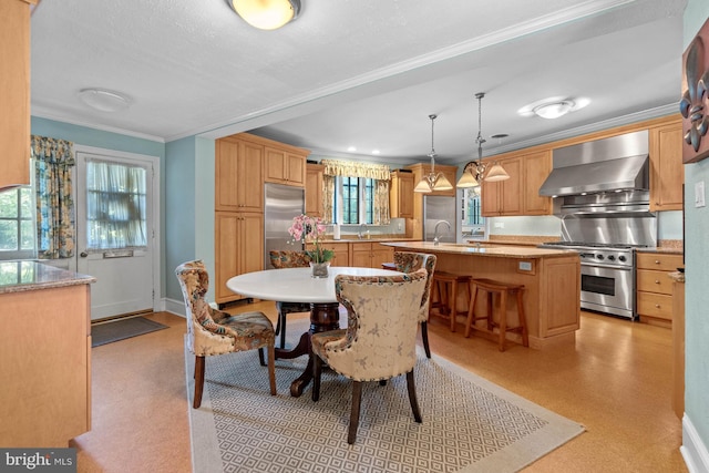 dining space featuring crown molding and sink