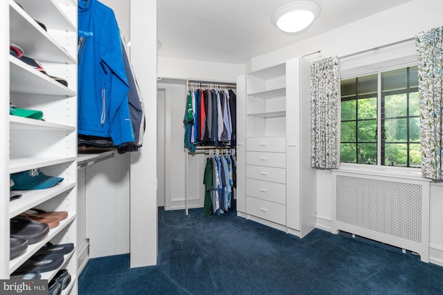 spacious closet featuring dark colored carpet and radiator