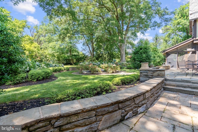 view of yard featuring a patio