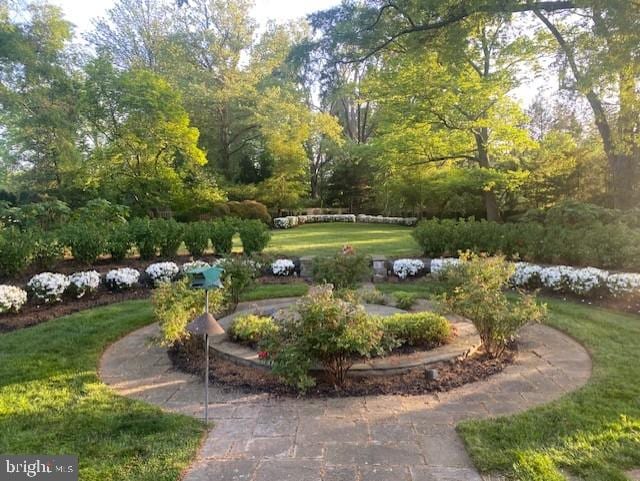 view of community featuring a lawn