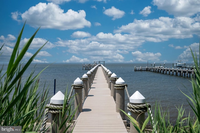 dock area featuring a water view