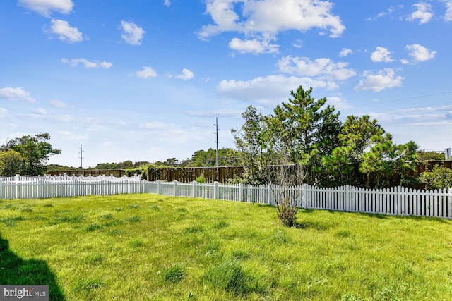 view of yard with a fenced backyard