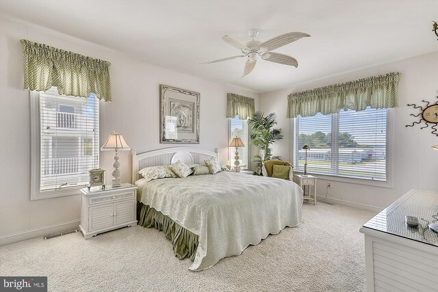 bedroom with carpet floors, access to outside, and a closet