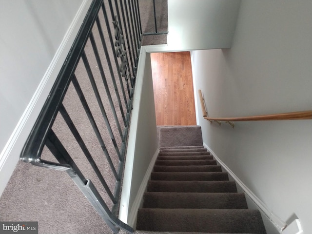 stairway featuring carpet floors