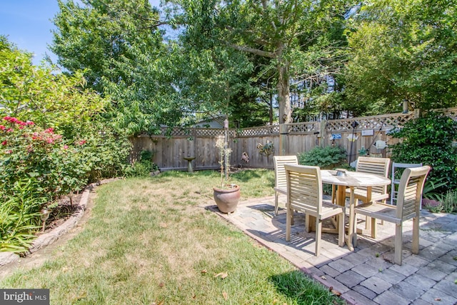 view of yard featuring a patio