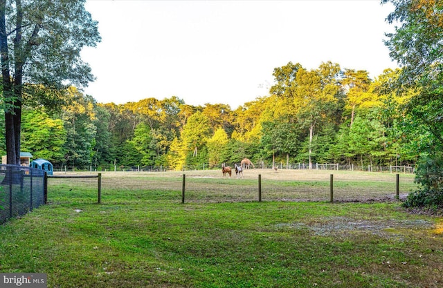 view of yard with a rural view