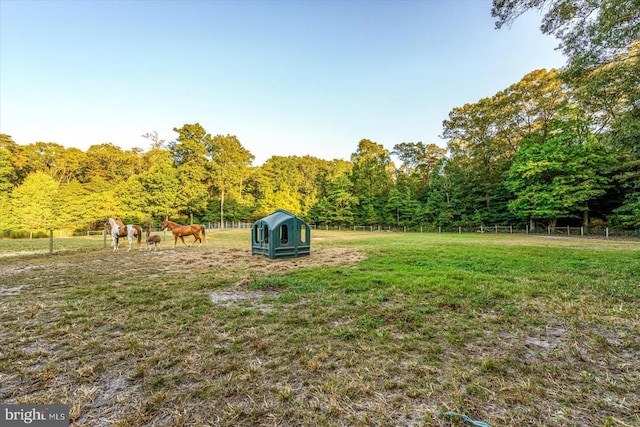 view of yard featuring a rural view