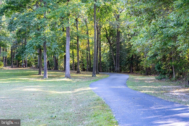 view of road