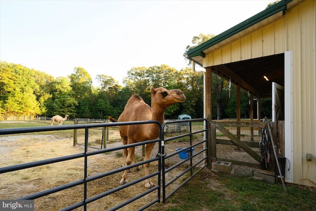 view of horse barn