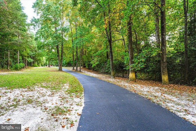 view of road